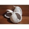 Budha Nut - Whitewashed