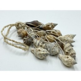 Aninika Shell Hanger - 35cm