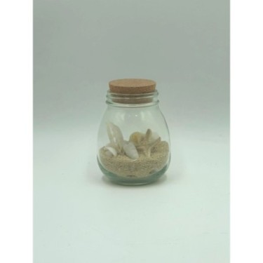 Shells in Glass Bottle with Sand