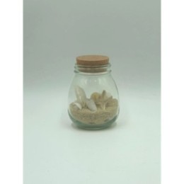 Shells in Glass Bottle with Sand