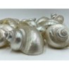 Turbo Pica Pearlised - 6cm