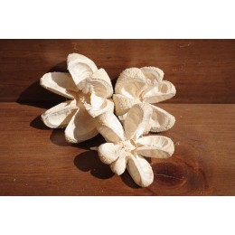 Wild Orange Open - Bleached