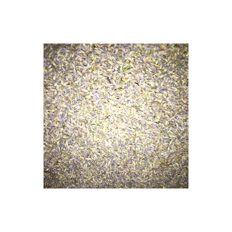 Lavender Surchoice (seed) Bulk per kg