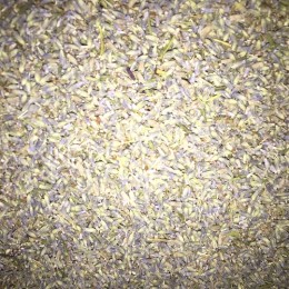 Lavender Surchoice (seed) Bulk per kg