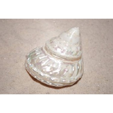 Wavey Top - 7cm