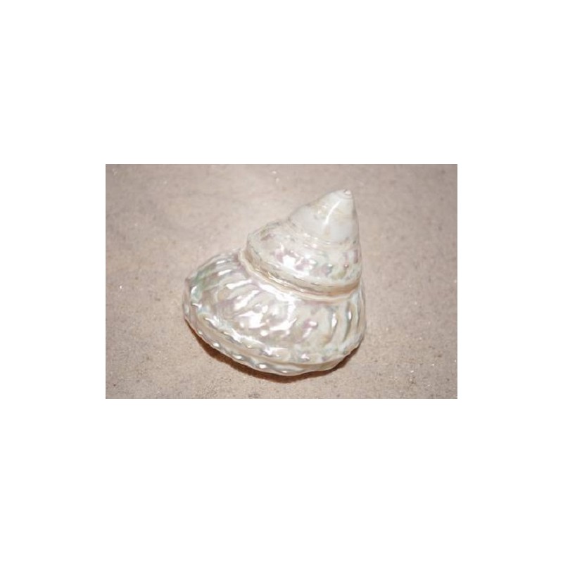 Wavey Top - 7cm