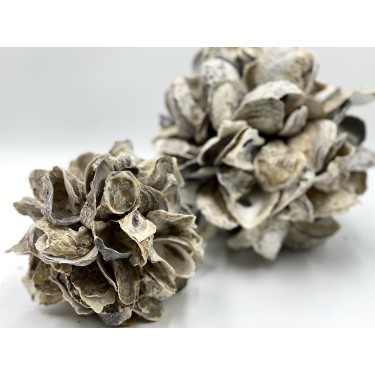 Small Oyster Ball 14cm