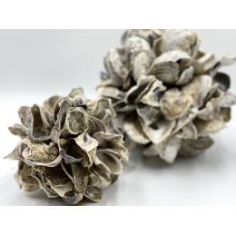 Small Oyster Ball 14cm
