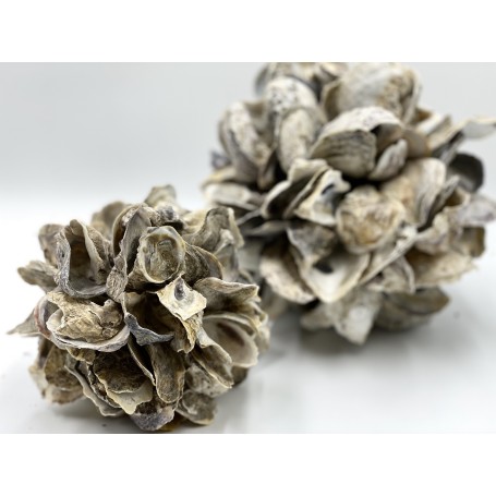 Small Oyster Ball 14cm