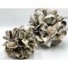 Small Oyster Ball 14cm