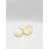 Tiger Clam Shells - 1kg