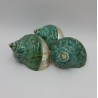 Turbo Burgos Green Top - 8cm