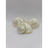 Turbo Burgos Pearlised - 8cm