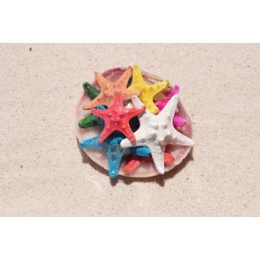 Coloured Starfish Selection in Clam