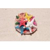Coloured Starfish Selection in Clam