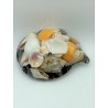 Shells in Black Lip - approx. 10x14cm