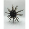 Spiky Sea Urchin