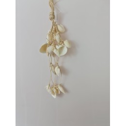Vertagus & Arca Shell Hanging