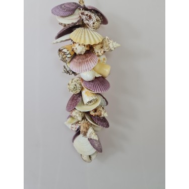 Tiger Cowrie Cluster - 50cm