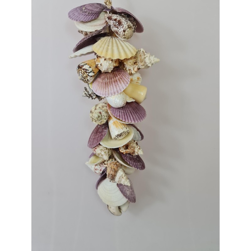 Tiger Cowrie Cluster - 50cm