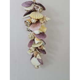 Tiger Cowrie Cluster - 50cm