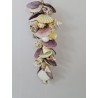 Tiger Cowrie Cluster - 50cm
