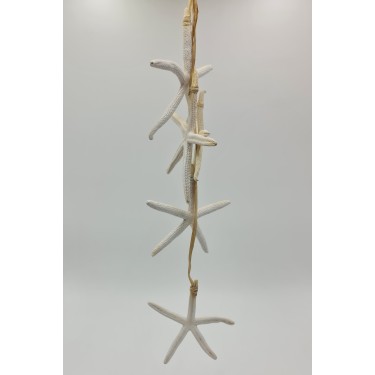 Bleached Finger Starfish Hanger