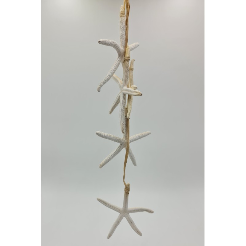 Bleached Finger Starfish Hanger