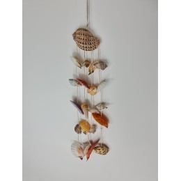 Harpa Shell Hanger