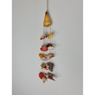 Assorted Shell Hanger
