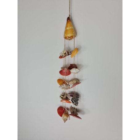 Assorted Shell Hanger