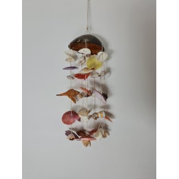 Coconut Shell Hanger