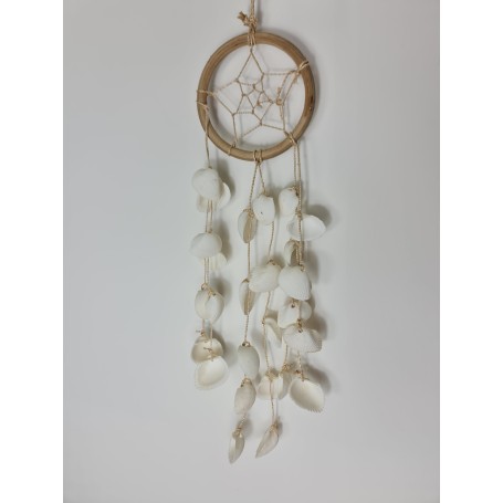 Shell Dream Catcher