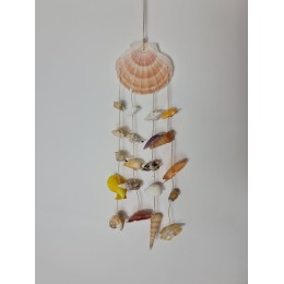 Scallop Hanger with assorted shells