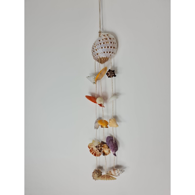 Tona Hanger with assorted shells