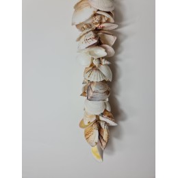 Clamshell and Clamrose Cluster