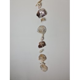 Oyster and Placuna Garland