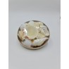 Small Shell Pack in cardboard - White Shells