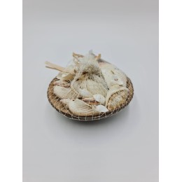 Mixed Shells in Cocoshell with Net