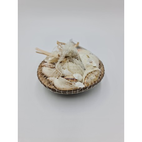 Mixed Shells in Cocoshell with Net