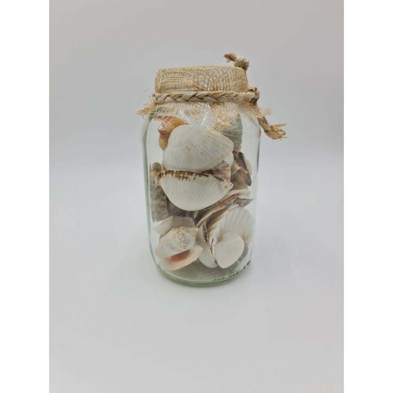 Shells in jar with netting