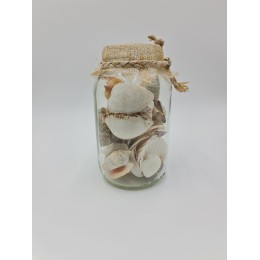 Shells in jar with netting