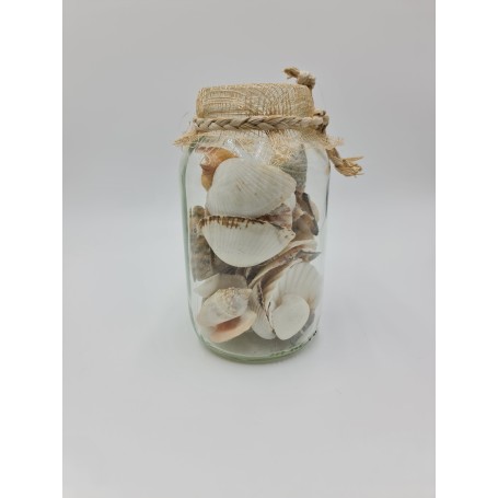 Shells in jar with netting