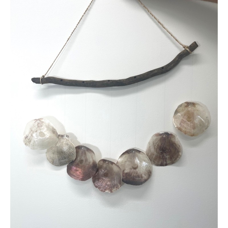 Saddle Oyster Chime