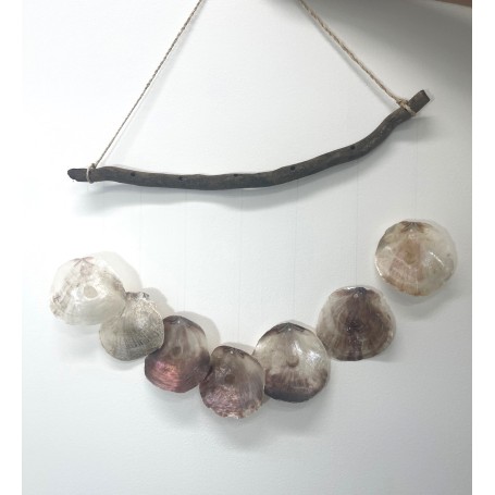 Saddle Oyster Chime