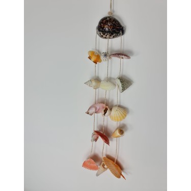 Cowrie with assorted shells