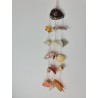 Cowrie with assorted shells