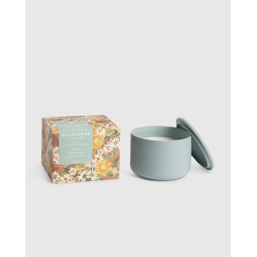Banksia & Flannel Flower - Waxflower Soy Blend Candle 420g