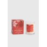 Gingerbread - Vivante Christmas Soy Blend Candle 230g