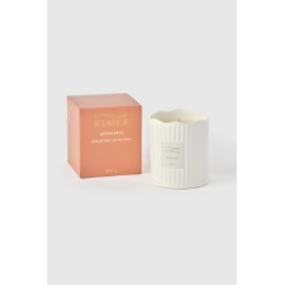 Autumn Spice - Scentica Signature Collection Soy Blend Candle 300g